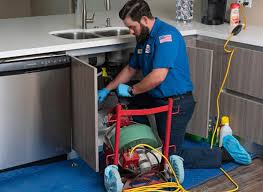 Professional Plumbung Services in Cedar Springs, MI